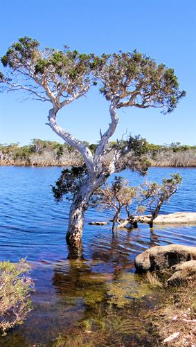 Oldfield River near Munglinup, WA,